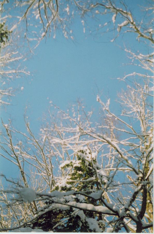 ziema2004aukstadvary.jpg