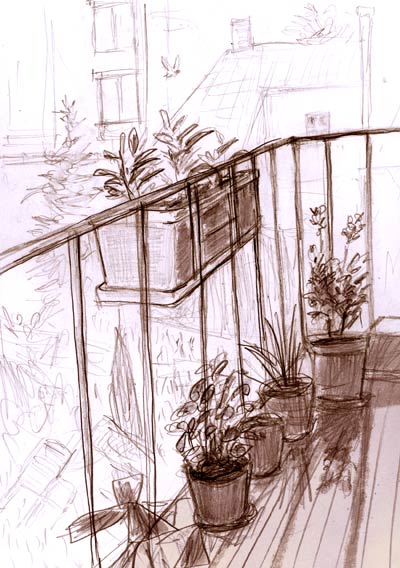 terras001bew.jpg