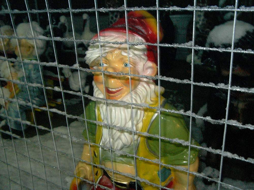 6.JPG