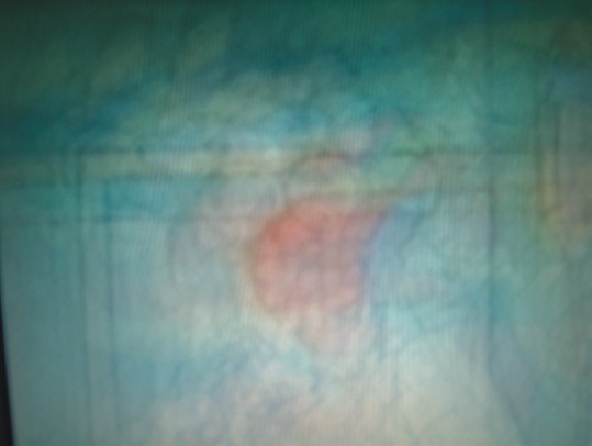 HPIM68224.jpg