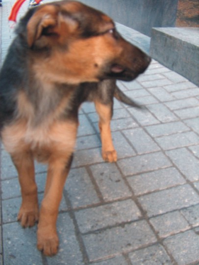 HPIM684333.jpg