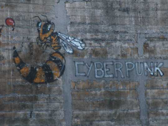 HPIM6914.jpg