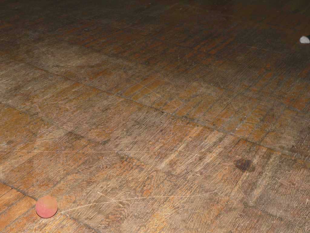 kats1.jpg
